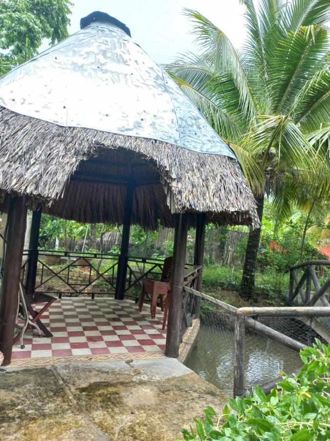 Ngoc Phuong Homestay Vĩnh Long Zewnętrze zdjęcie