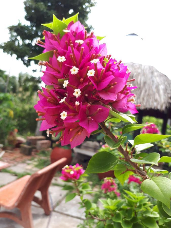 Ngoc Phuong Homestay Vĩnh Long Zewnętrze zdjęcie